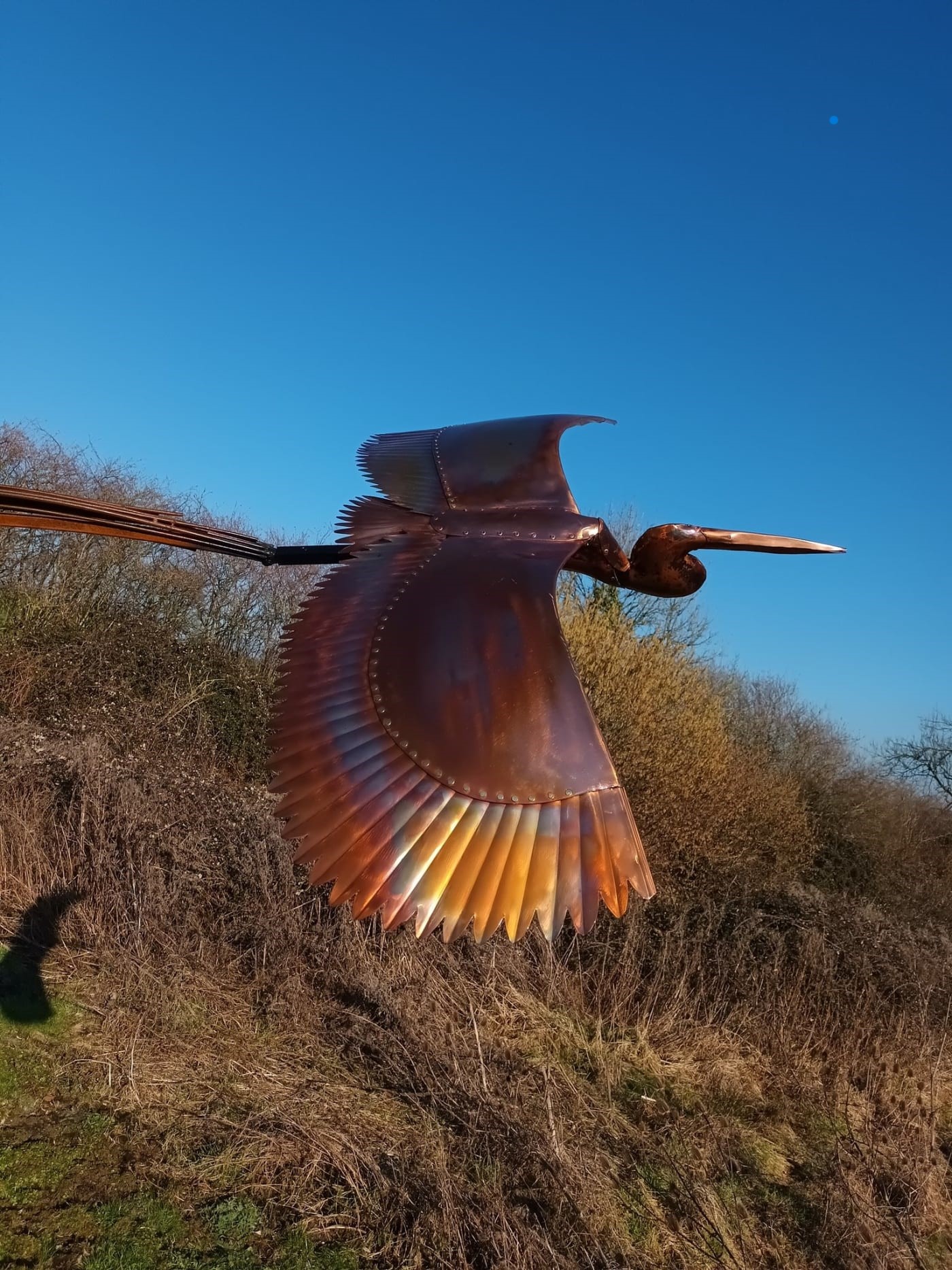 TEM.jpg .2024